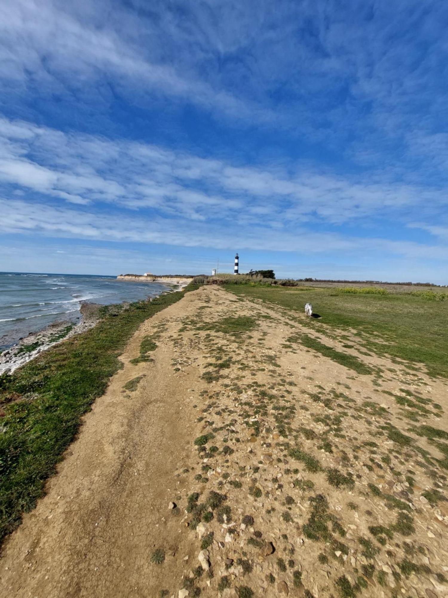 Maison A 8 Min A Pied De La Plage Avec Jardin Clos Et Ombrage Saint-Georges-d'Oleron Exterior foto